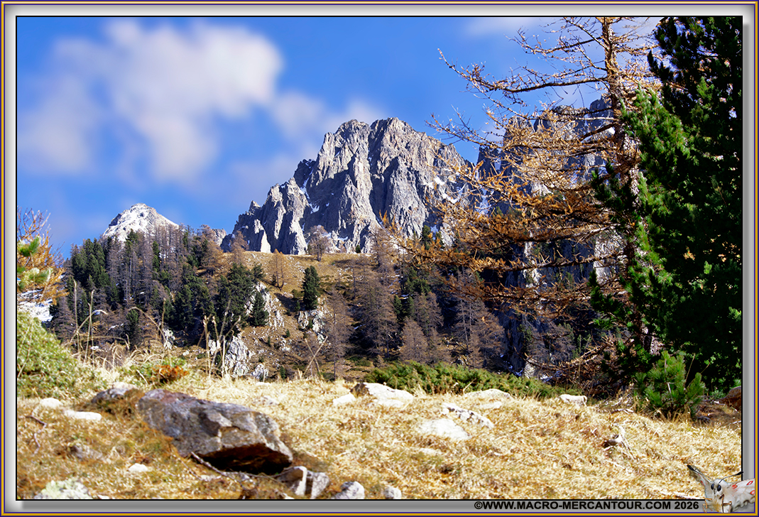 LAC de TRECOLPAS